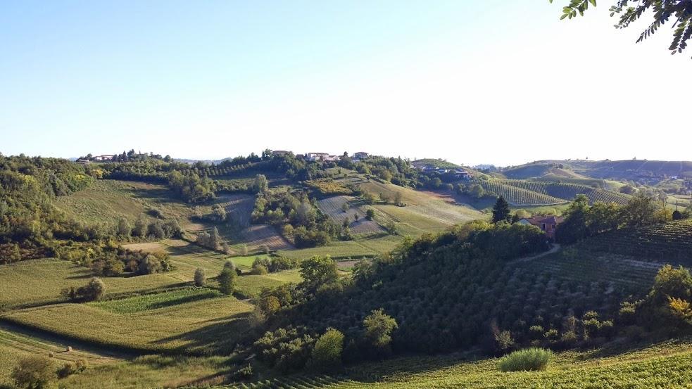 Vigliano d'Asti Alta Villa The Countryhouse Adults Only Boutique Bnb المظهر الخارجي الصورة
